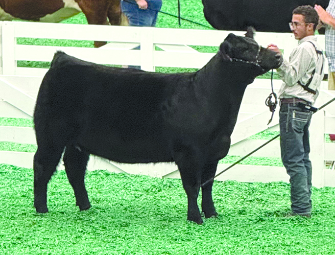 Pendleton at the KY State Fair | Falmouth Outlook